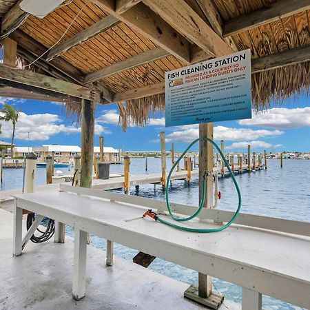 St Kitts - Downtown Waterfront Penthouse Pool Dock Parking Villa Key West Buitenkant foto